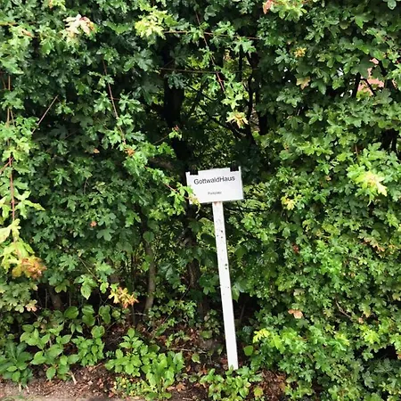 Gottwaldhaus-freiberg-apartment / B * フライベルク